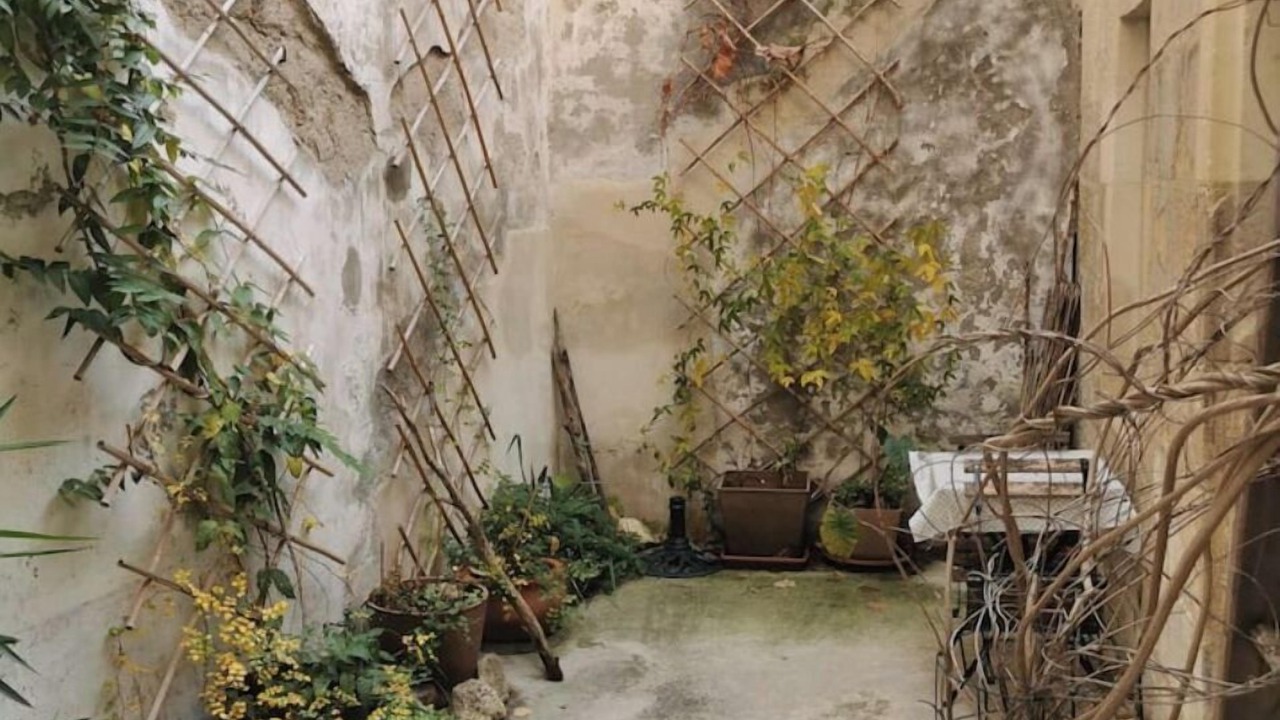 Photo of Others in Tarascon