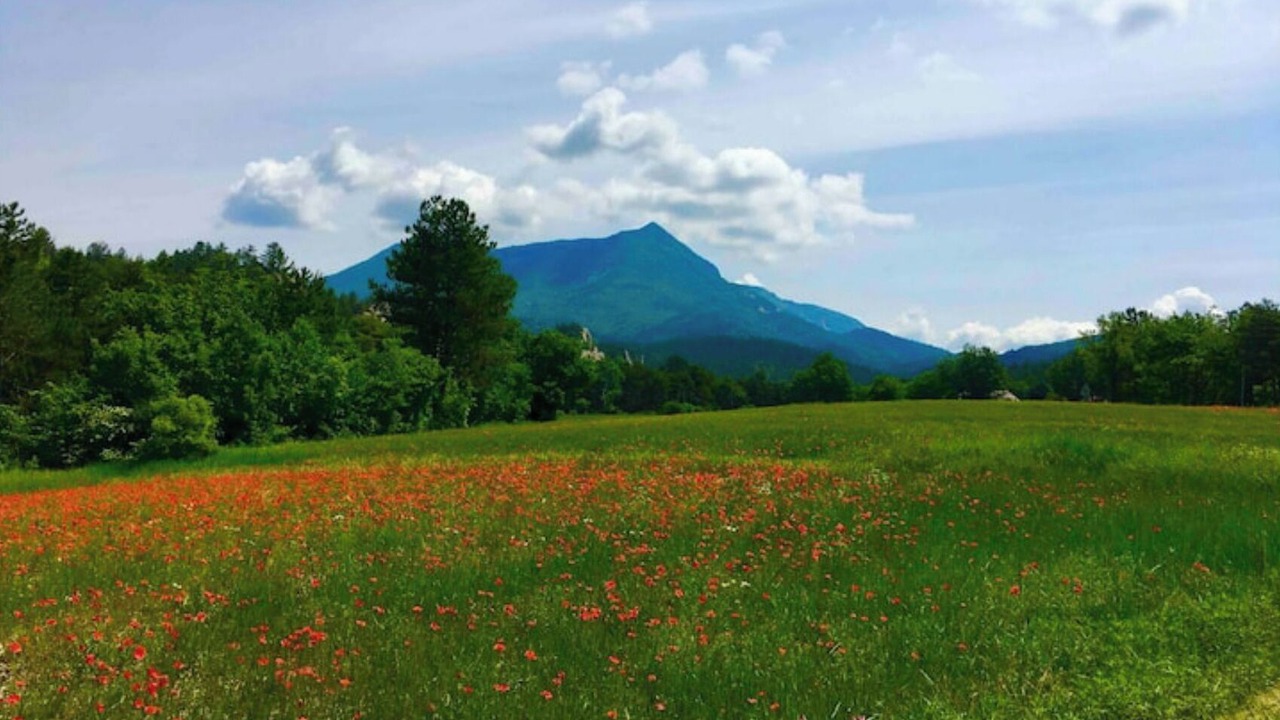 Photo of Outdoor in Le Chaffaut-Saint-Jurson