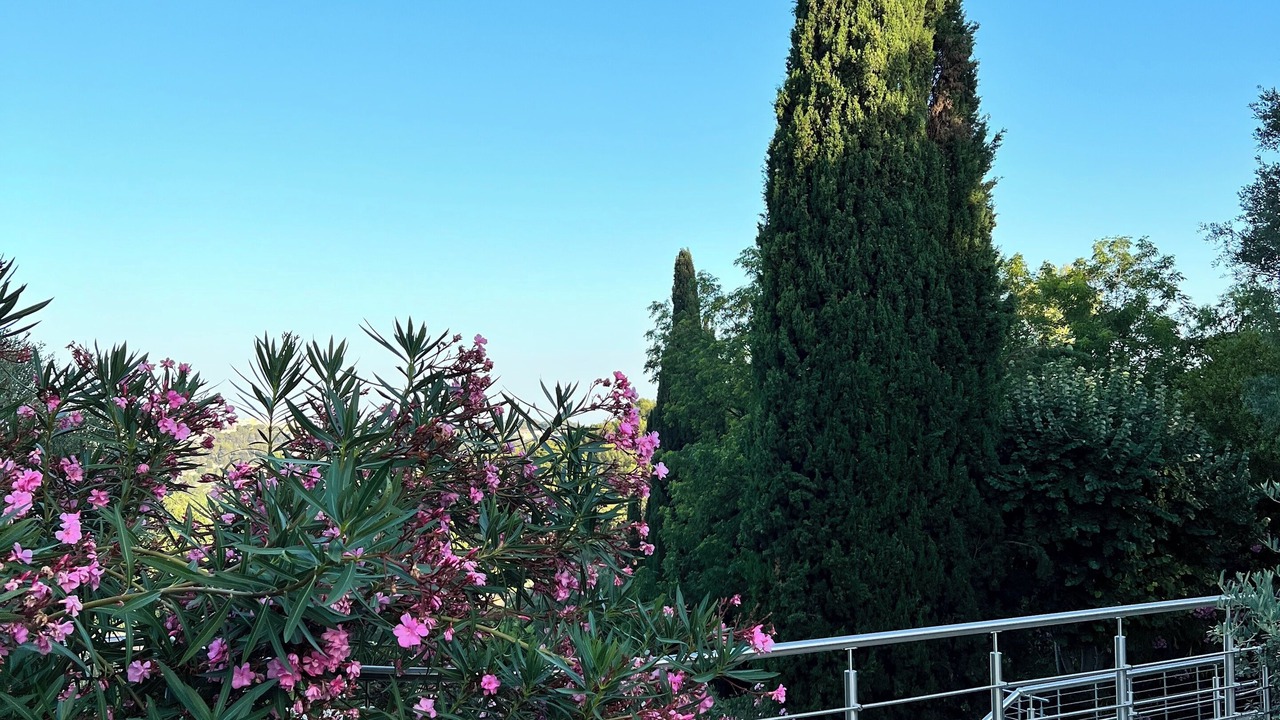 Photo of Outdoor in Mougins