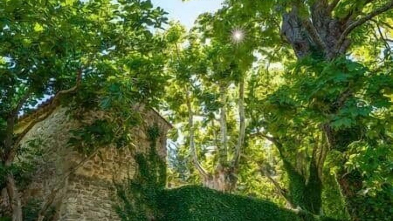 Photo of Others in Bonnieux