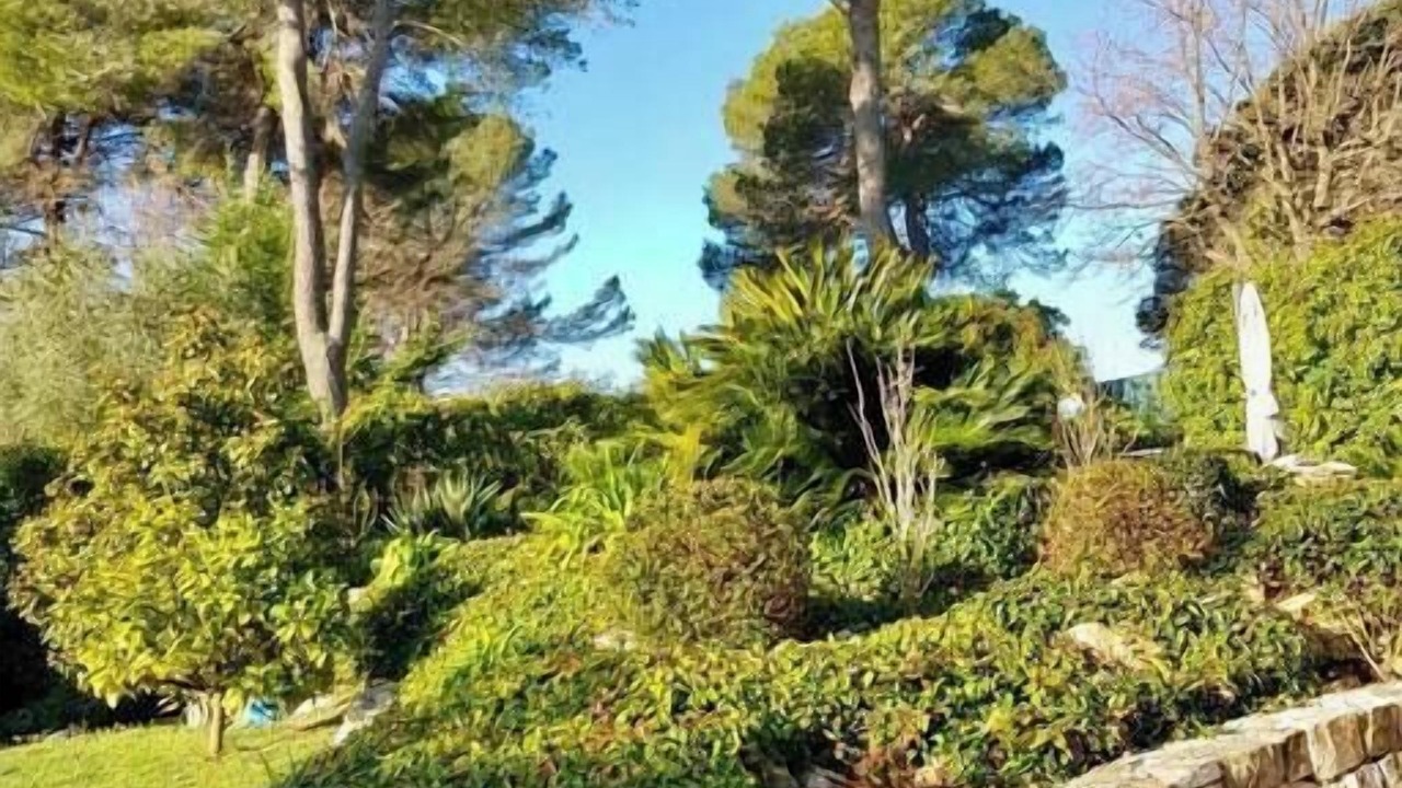 Photo of Others in Mougins
