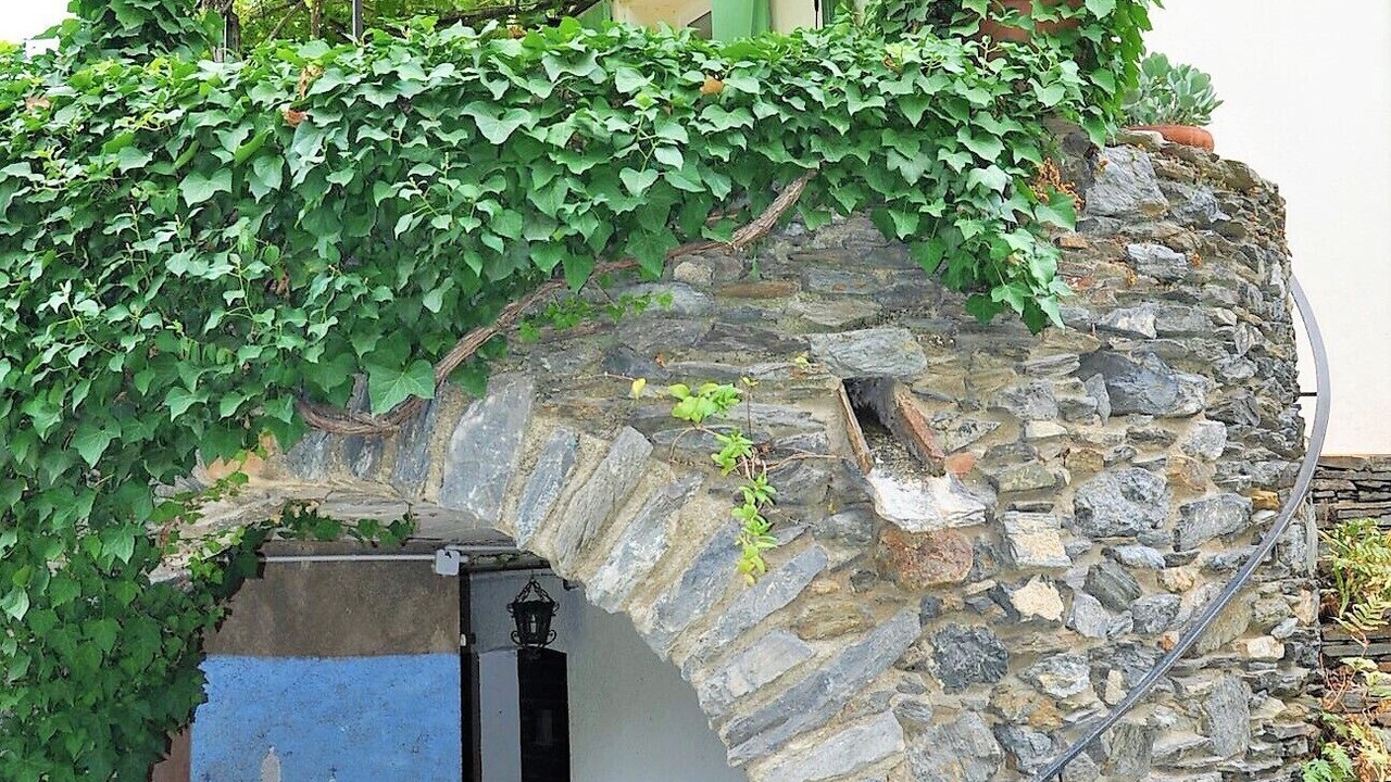 Photo of Outdoor in Collioure