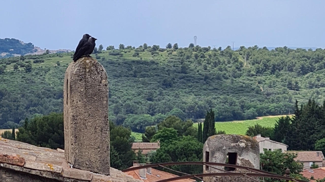 Photo of Outdoor in Eguilles