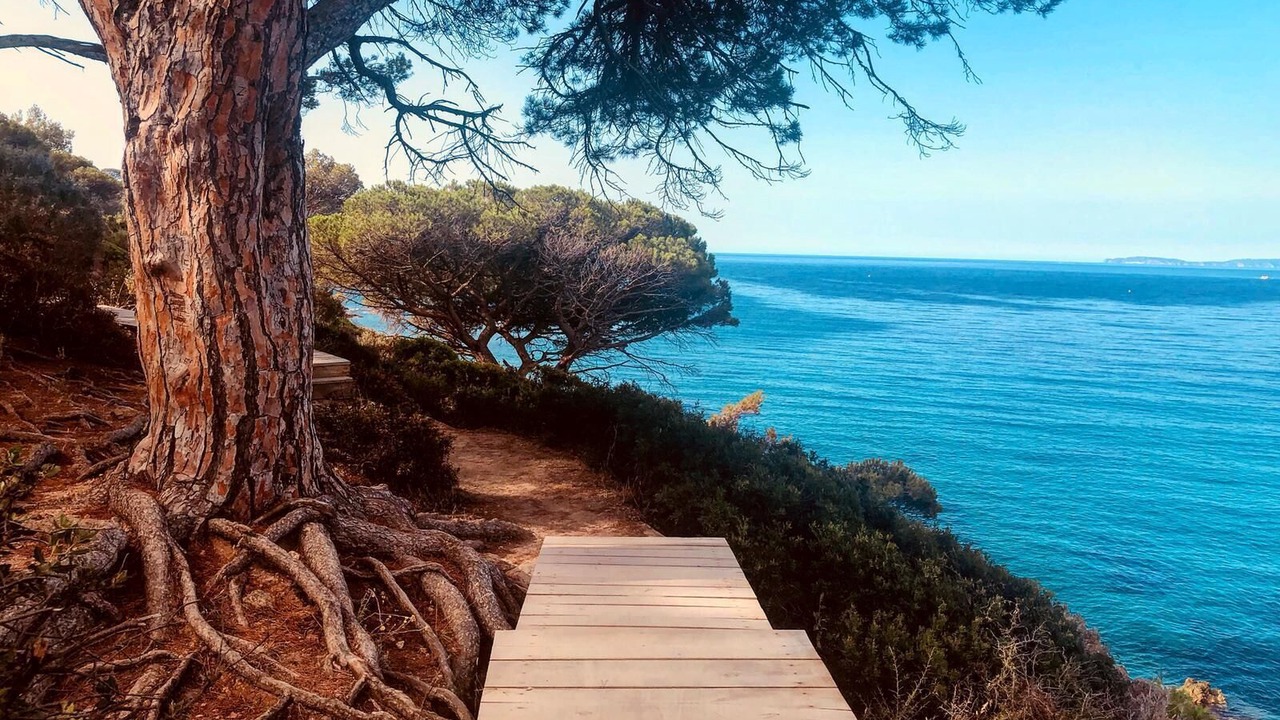 Photo of Outdoor in Gassin