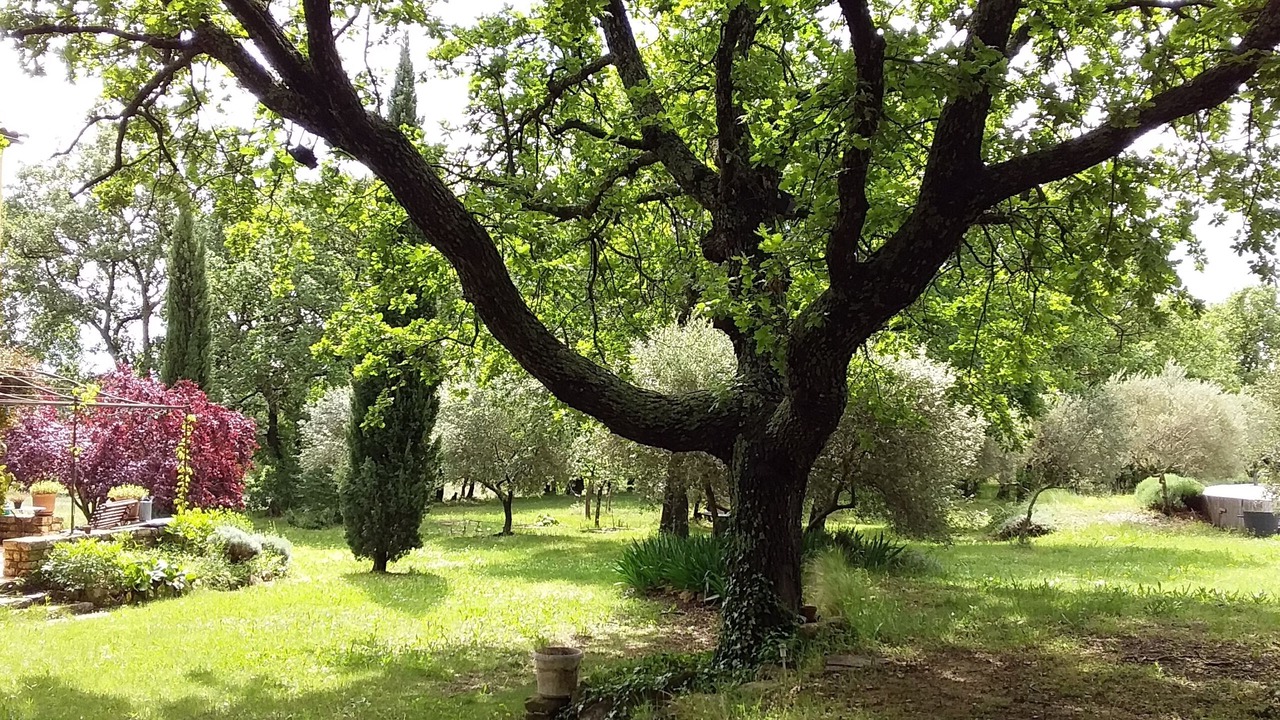 Photo of Outdoor in Arpaillargues-et-Aureillac