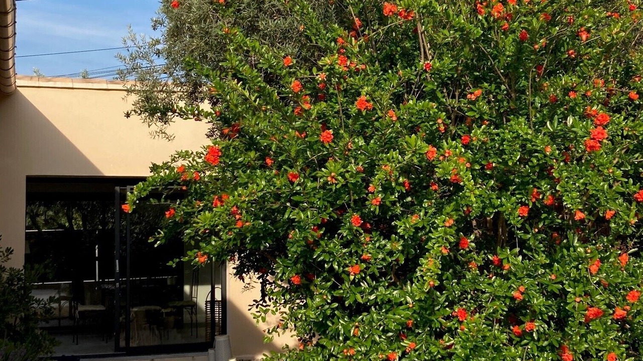 Photo of Outdoor in Cavaillon