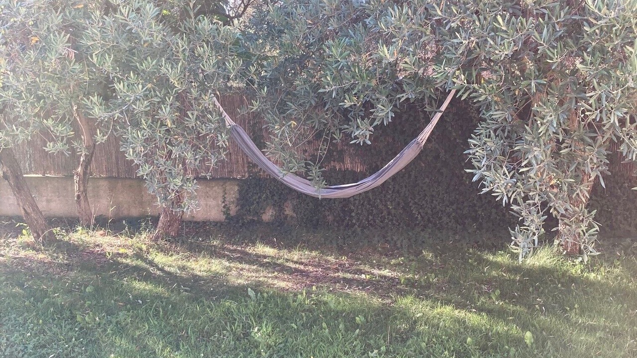 Photo of Outdoor in Cavaillon
