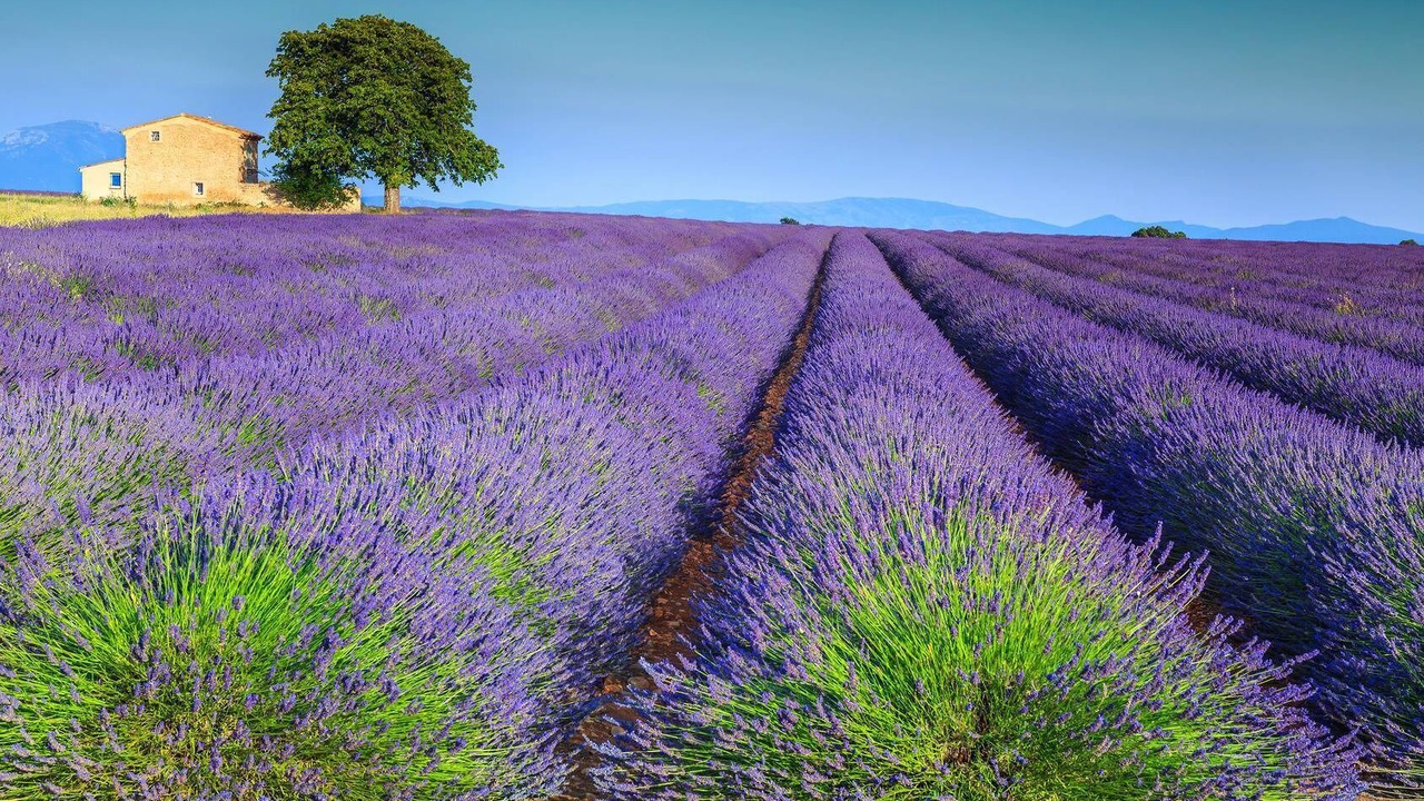 Photo of Outdoor in Lorgues