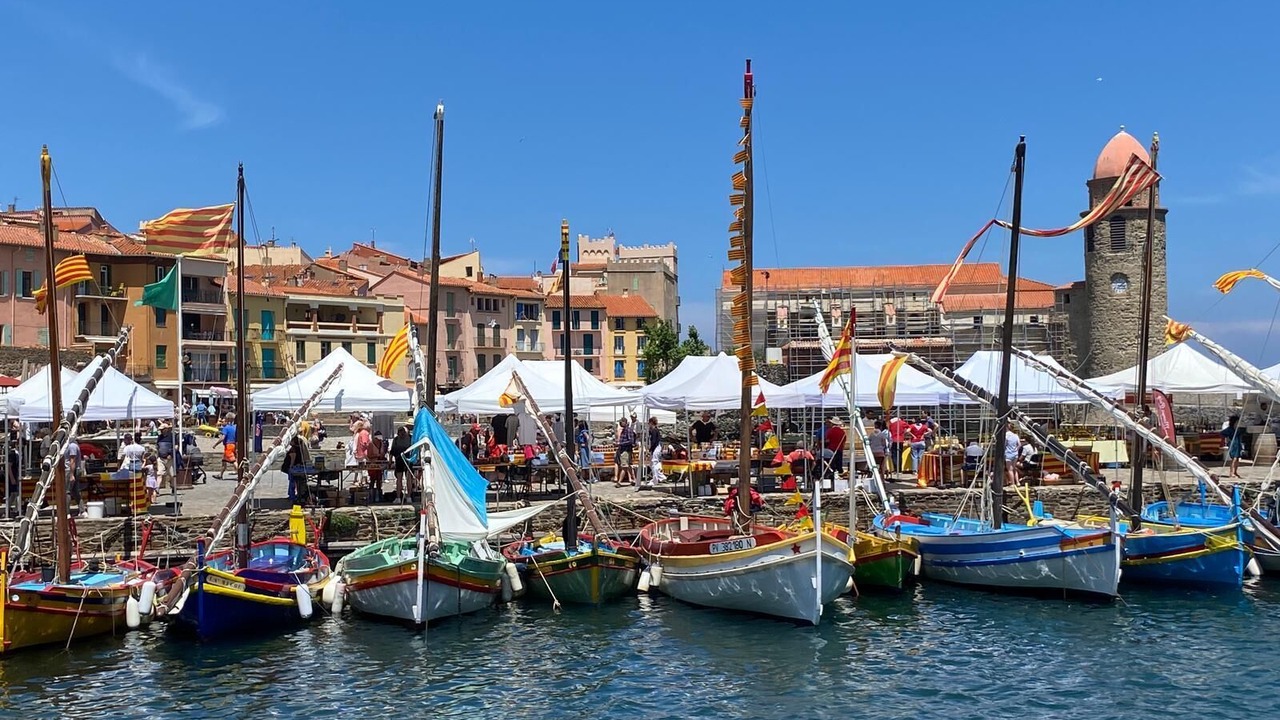 Photo of Others in Collioure