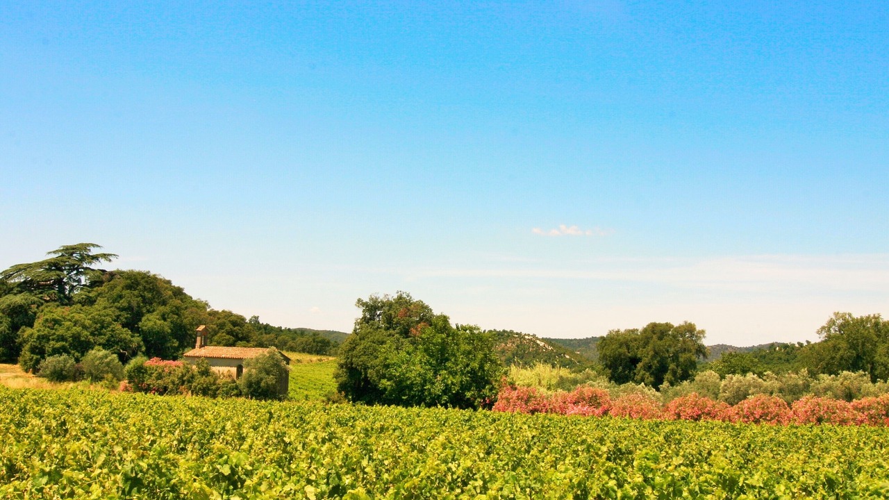 Photo of Outdoor in Plan-de-la-Tour