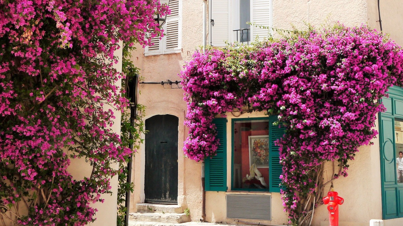 Photo of Outdoor in Plan-de-la-Tour