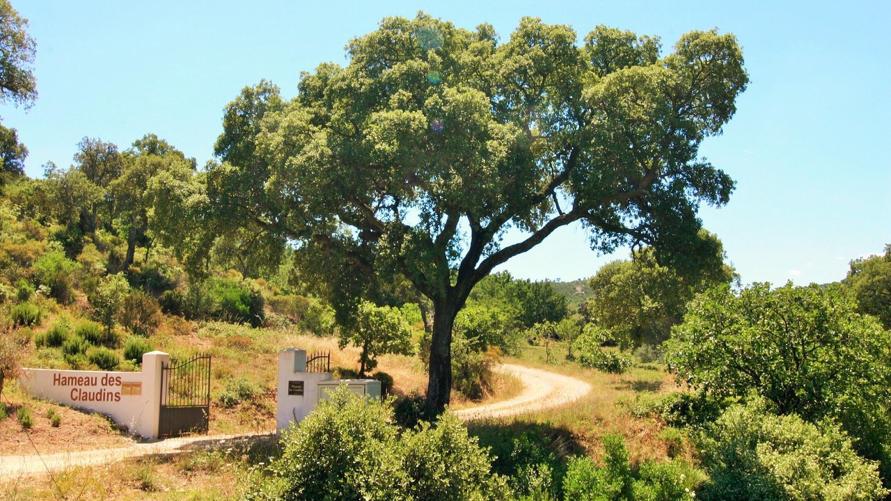 Photo of Others in Plan-de-la-Tour