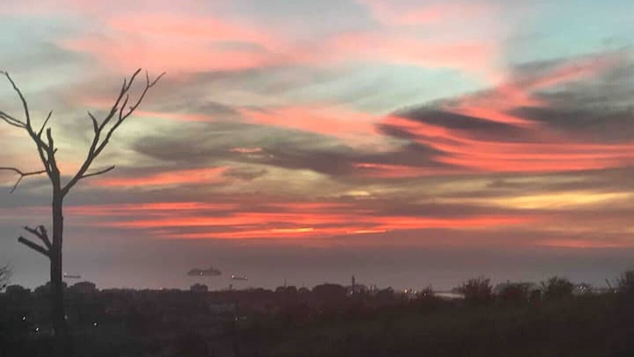 Photo of Others in Civitavecchia