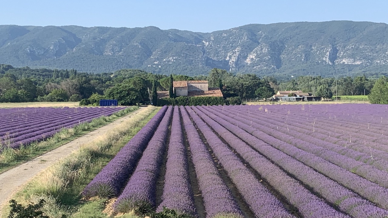 Photo of Outdoor in Cavaillon