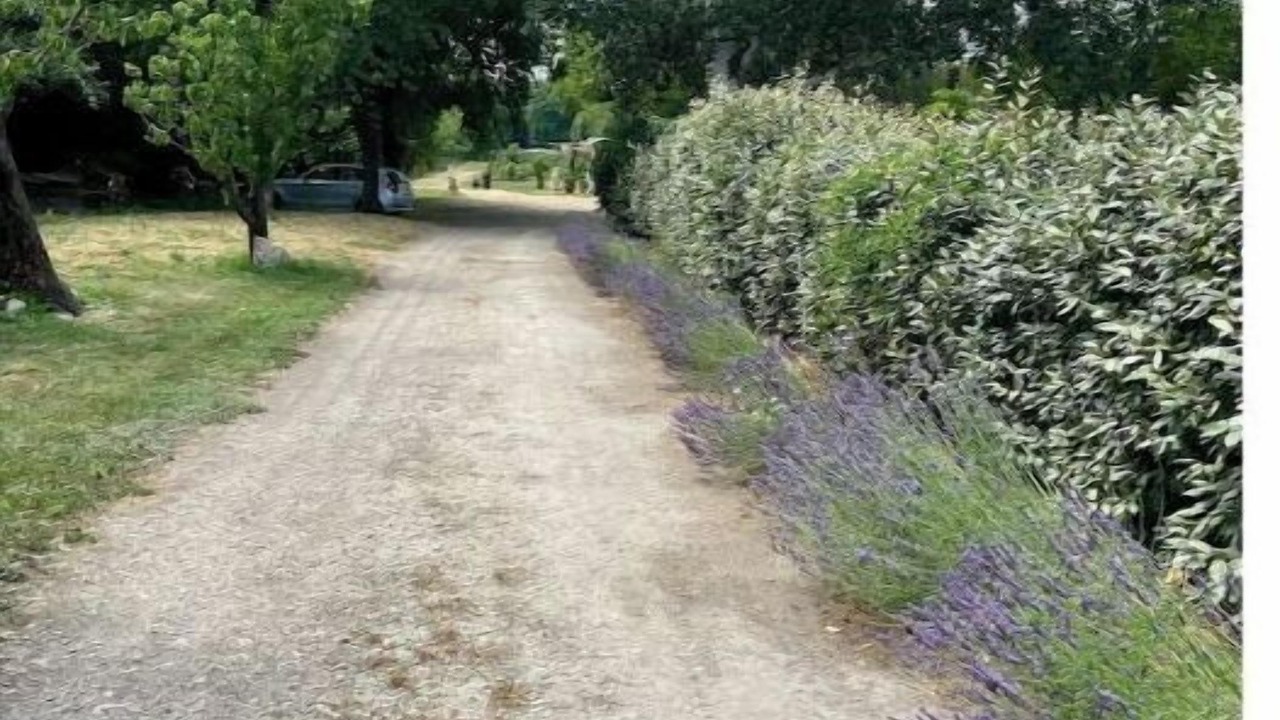 Photo of Others in St.-Remy-de-Provence