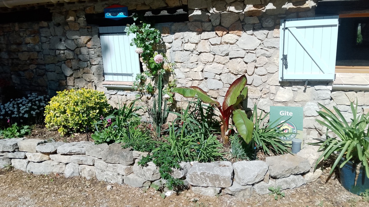 Photo of Outdoor in Taradeau