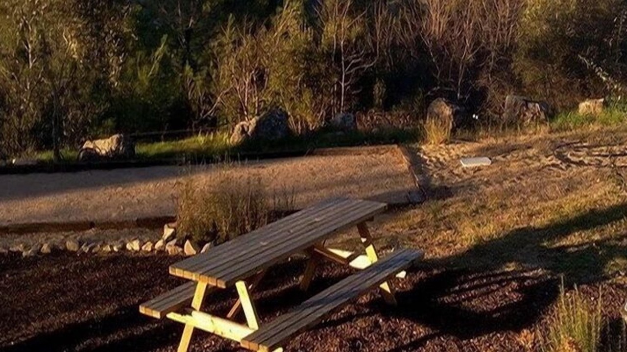 Photo of Outdoor in Taradeau