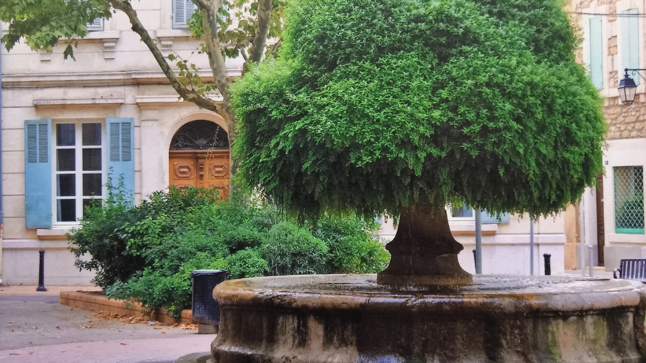 Photo of Others in Salon-de-Provence