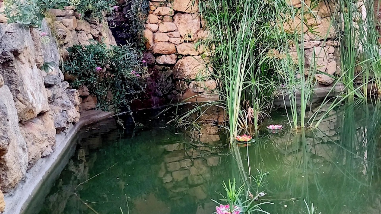 Photo of Outdoor in Salon-de-Provence