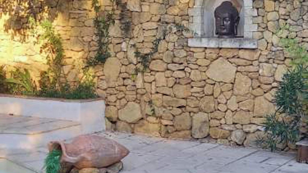 Photo of Outdoor in Salon-de-Provence