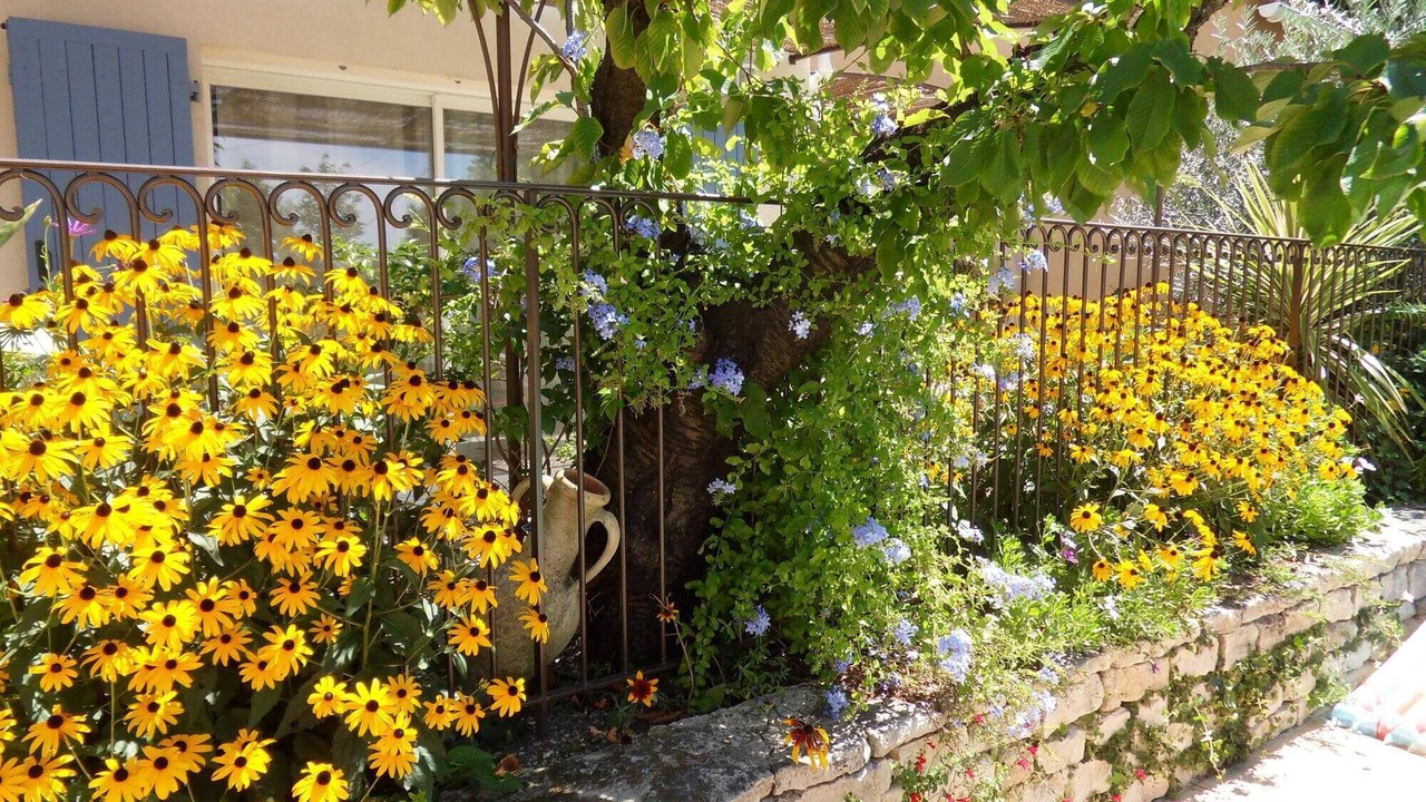Photo of Outdoor in Eyragues