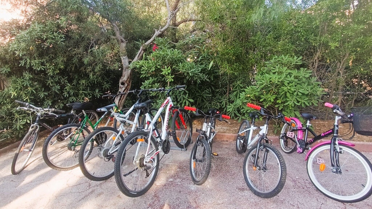 Photo of Outdoor in Giens