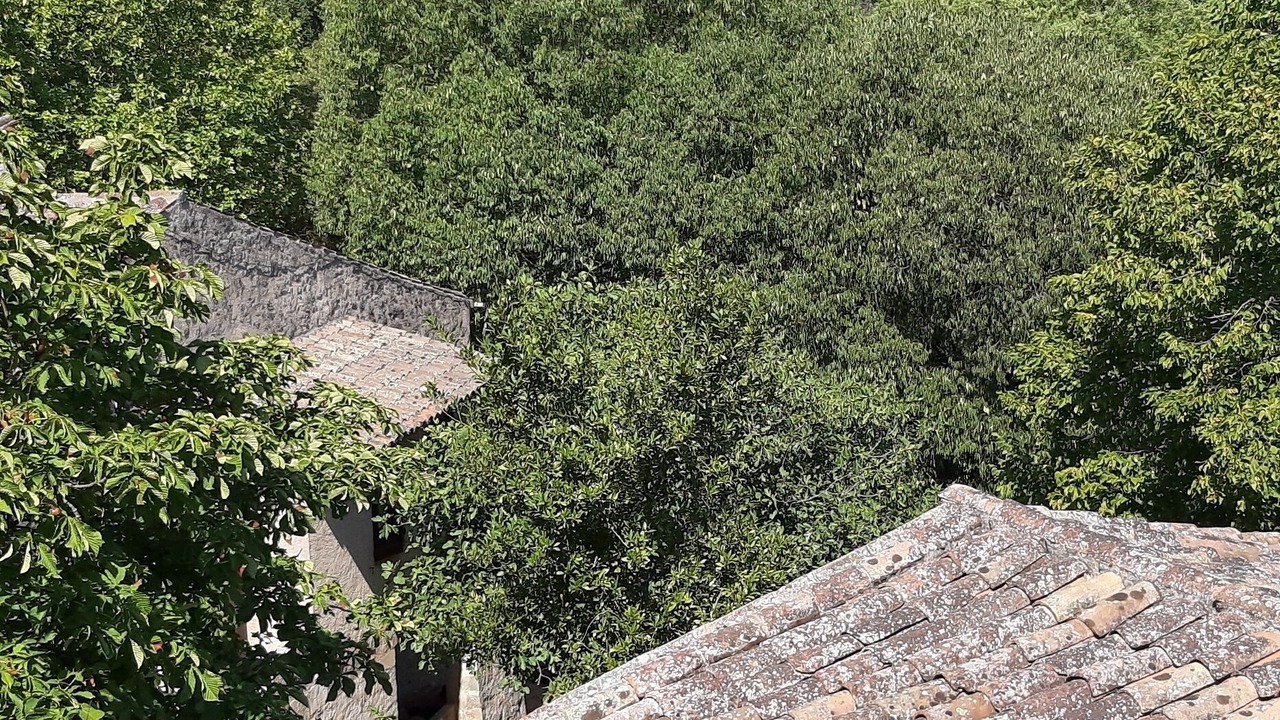 Photo of Outdoor in Sillans-la Cascade