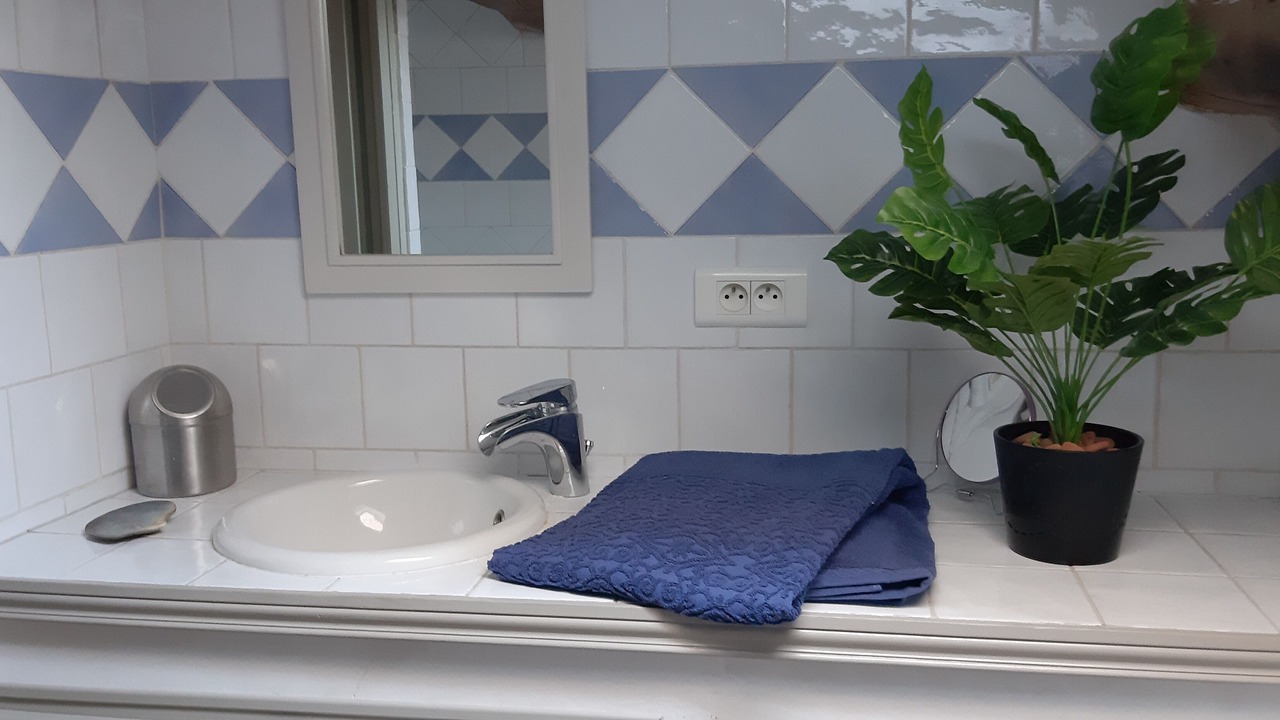 Photo of Bathroom in Sillans-la Cascade
