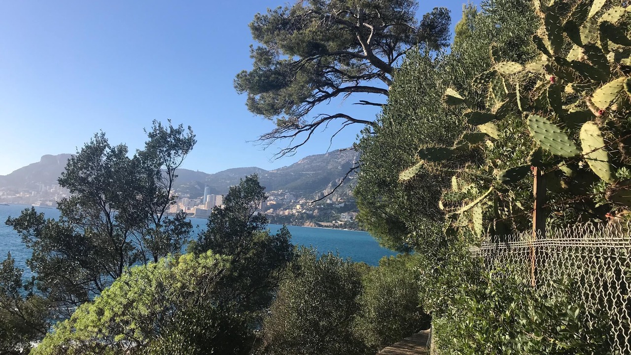 Photo of Outdoor in Roquebrune-Cap-Martin