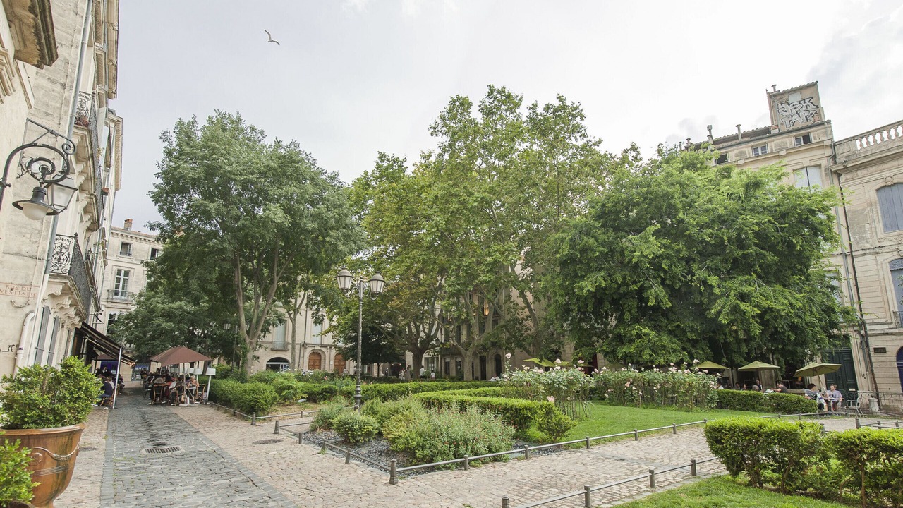 Photo of Others in Historic Centre