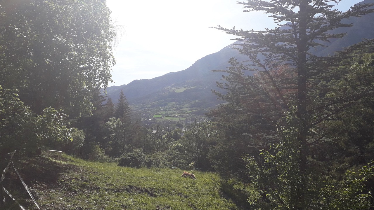 Photo of Others in Jausiers