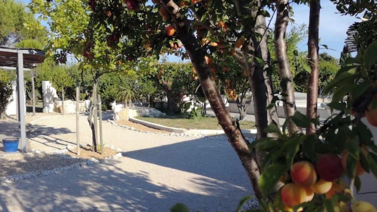 Photo of Outdoor in Maillane