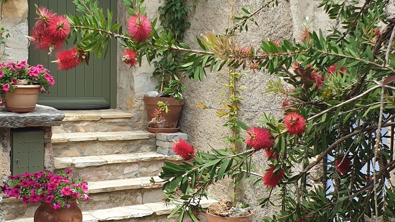 Photo of Outdoor in Tarascon