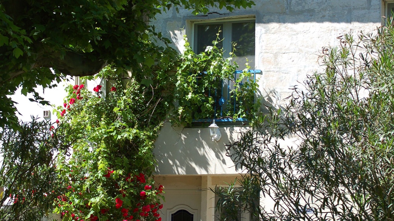 Photo of Others in Arles