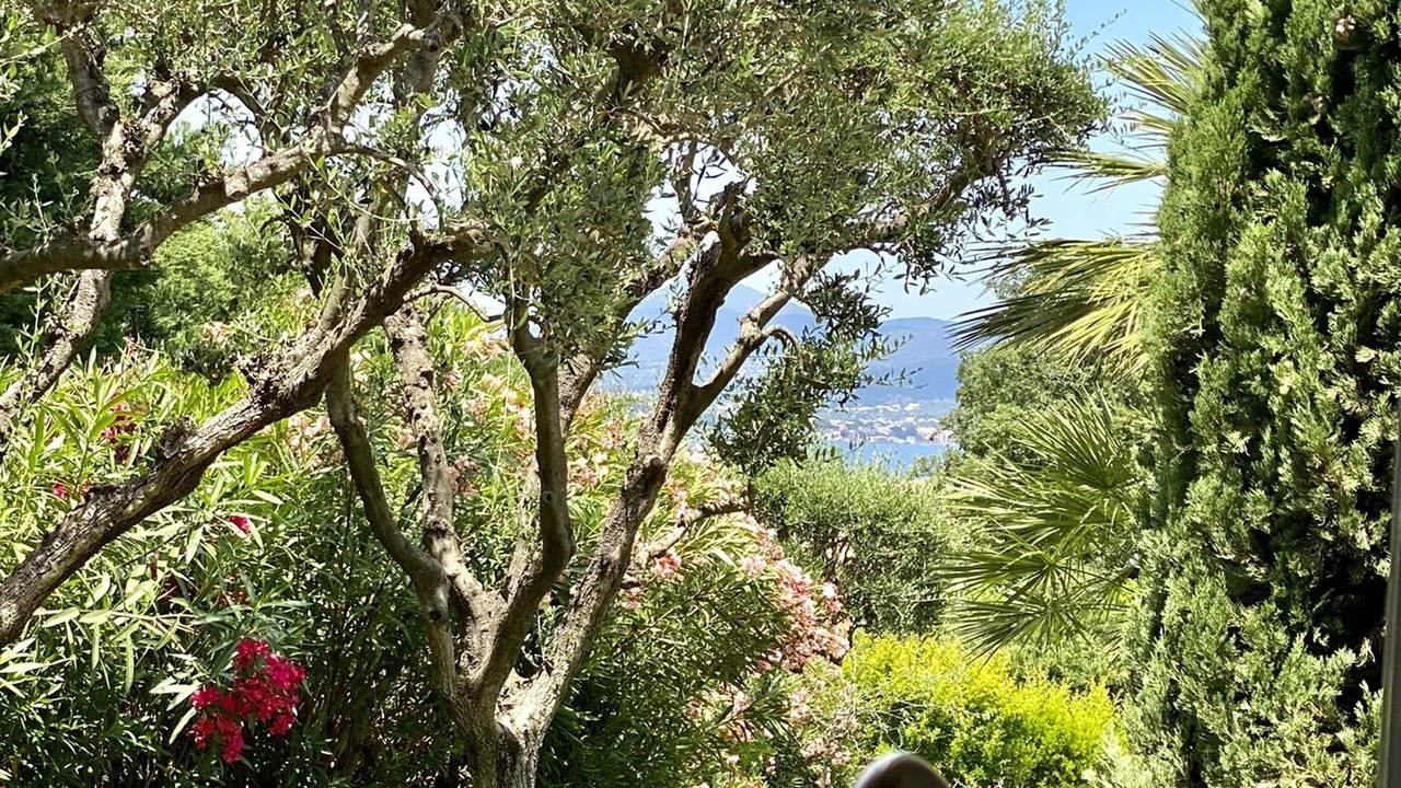 Photo of Others in Saint-Tropez