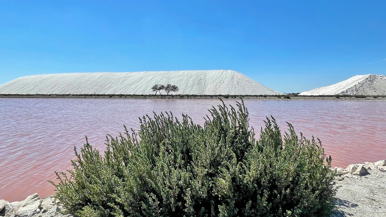 Photo of Others in Aigues-Mortes