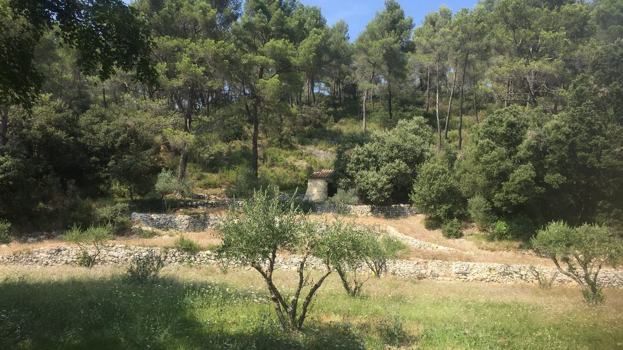 Photo of Outdoor in Simiane-Collongue