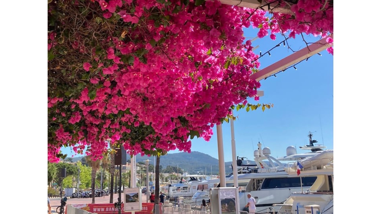 Photo of Others in Bandol