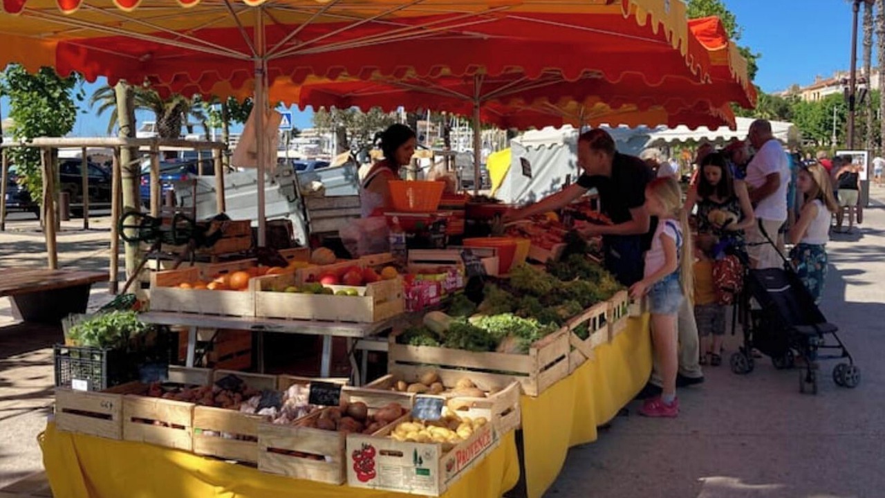 Photo of Others in Bandol