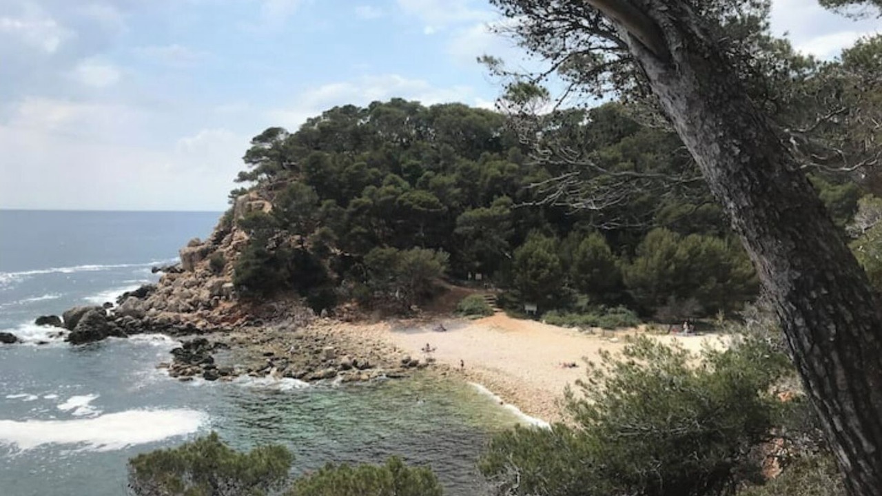 Photo of Others in Bandol