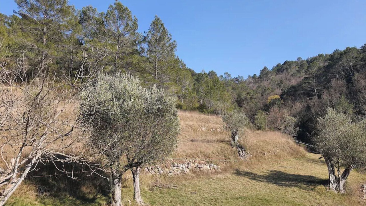Photo of Outdoor in Montferrat