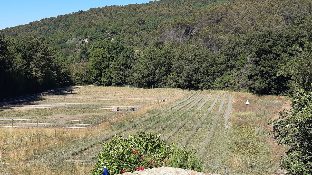 Photo of Outdoor in Montferrat