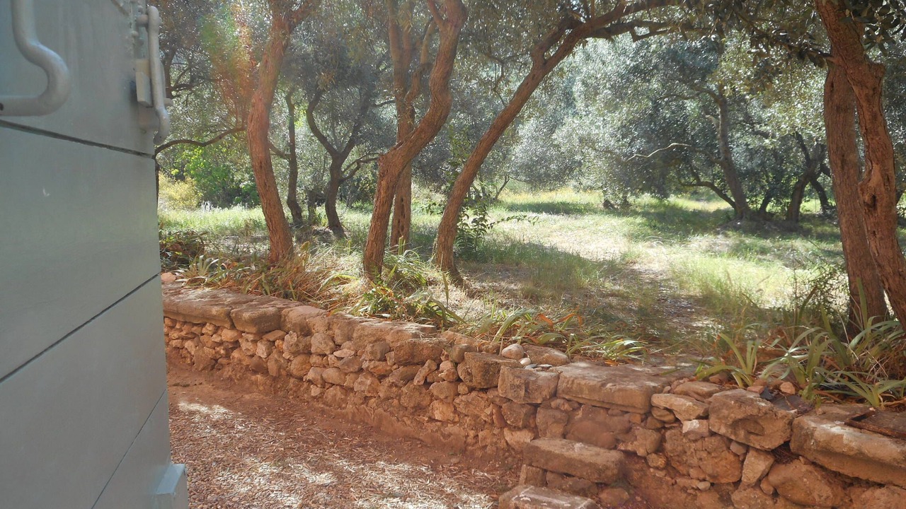 Photo of Outdoor in Grand Sud