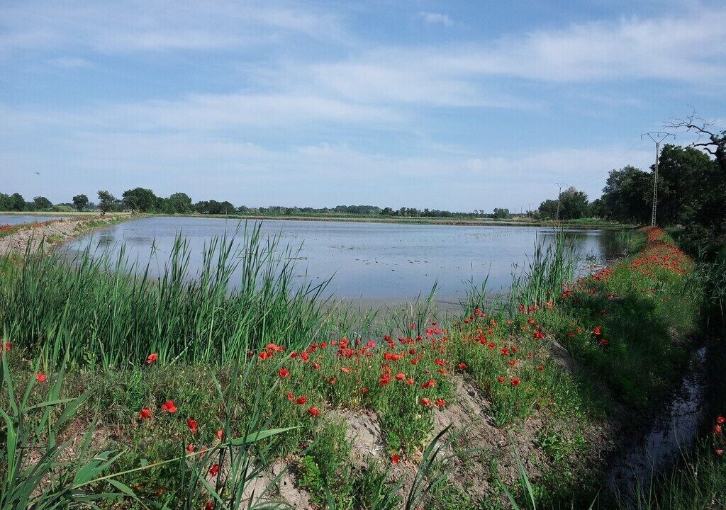 Photo of Outdoor in Arles
