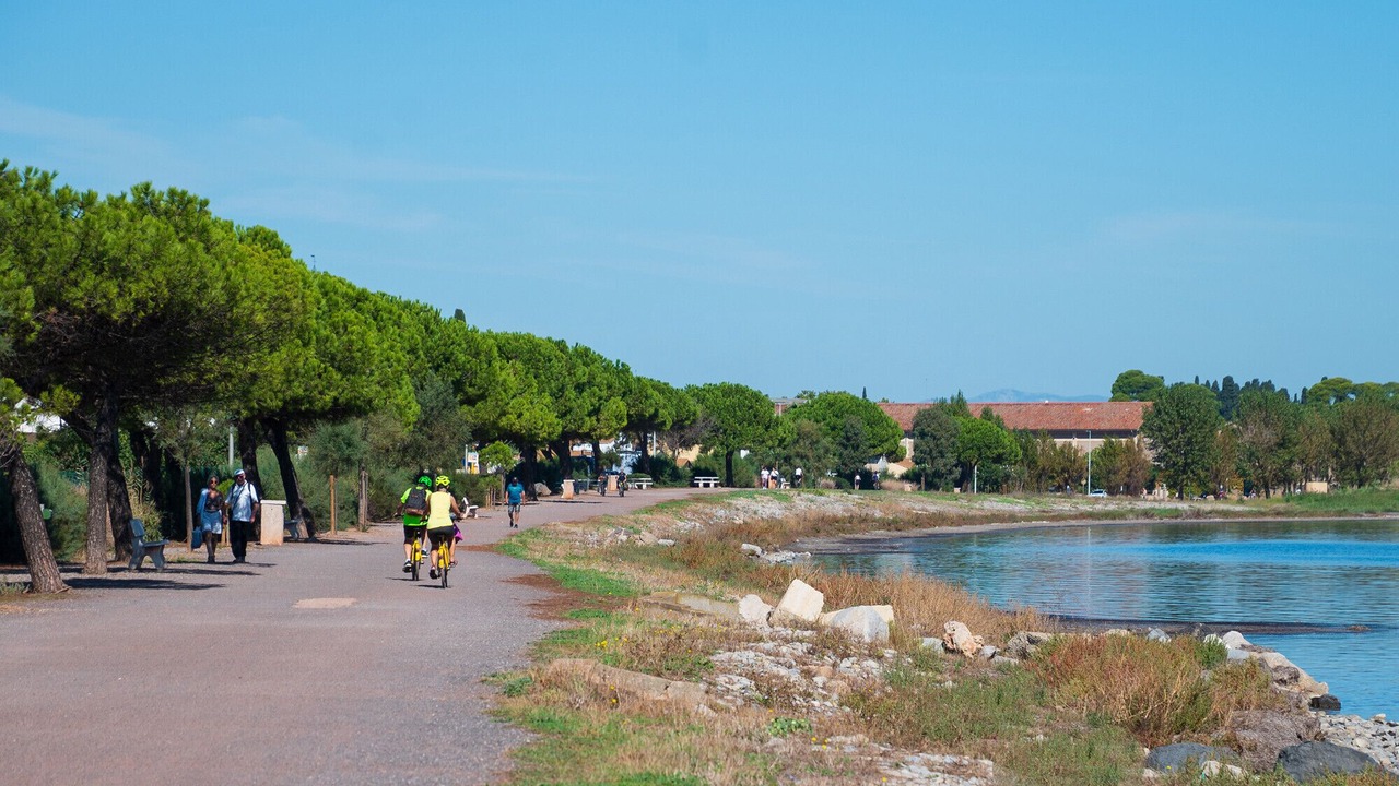 Photo of Others in Marseillan