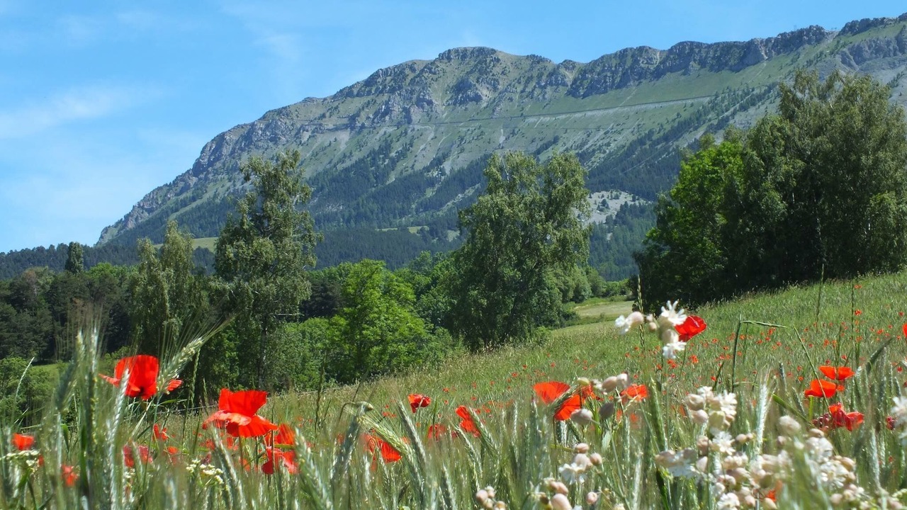 Photo of Outdoor in Montclar