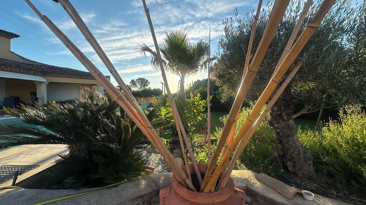 Photo of Outdoor in Villetelle