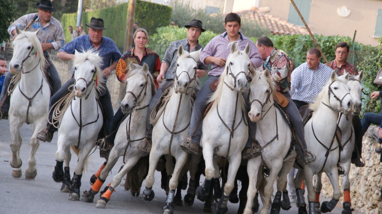 Photo of Others in Maillane