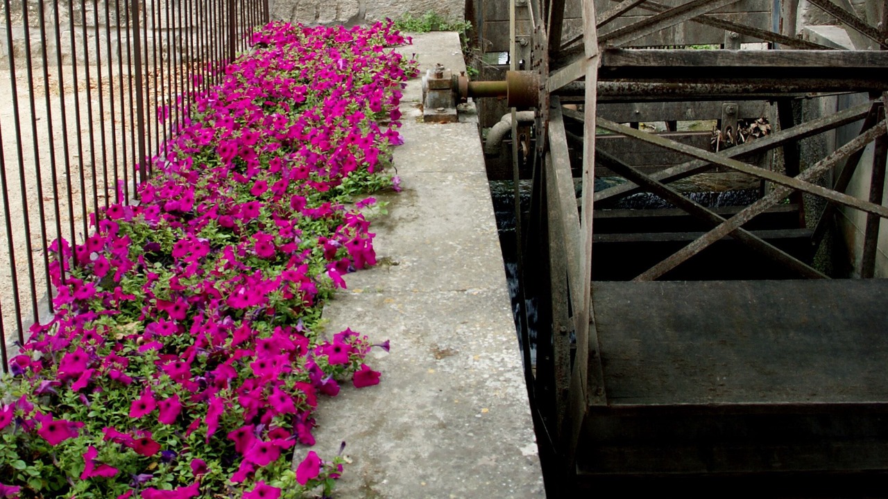 Photo of Outdoor in Maillane