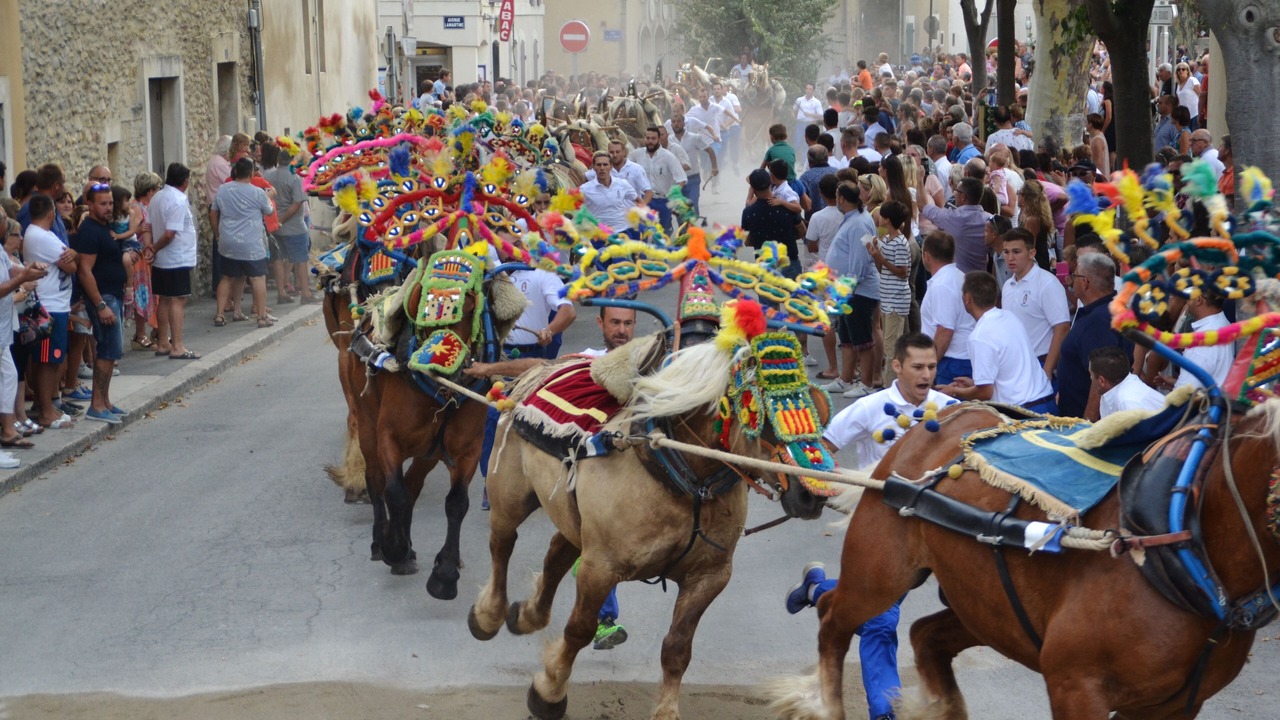 Photo of Others in Maillane